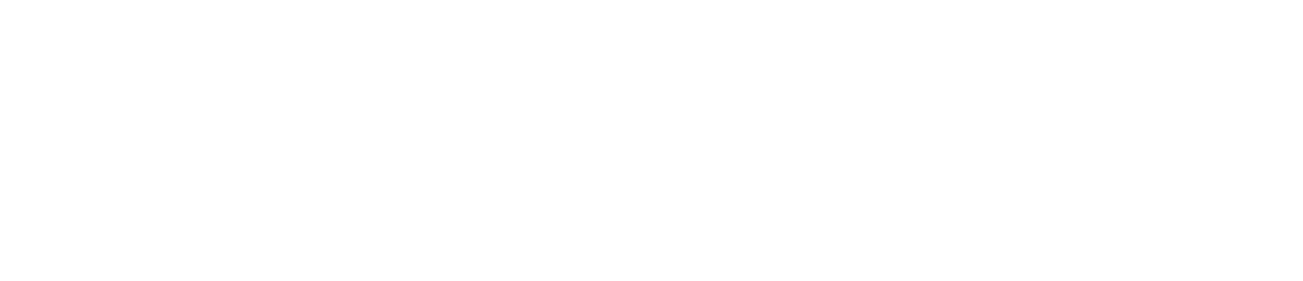 Ariat Logo